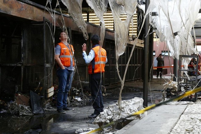 | Aniele Nascimento /Gazeta do Povo