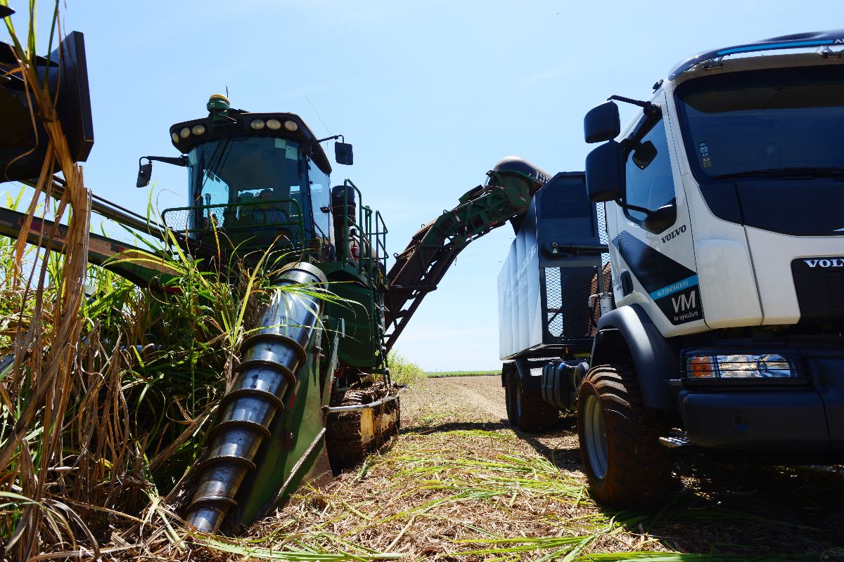 Volvo lançou nesta quarta-feira (31) o primeiro caminhão autônomo produzido no Brasil, na fábrica em Curitiba. | Divulgação/Volvo