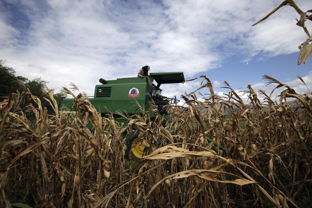 Produção agrícola no estado de Aragua, na Venezuela, vai de mal a pior - assim como no resto do país | JORGE SILVA/AF
