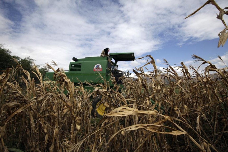 Produção agrícola no estado de Aragua, na Venezuela, vai de mal a pior - assim como no resto do país | JORGE SILVA/AF