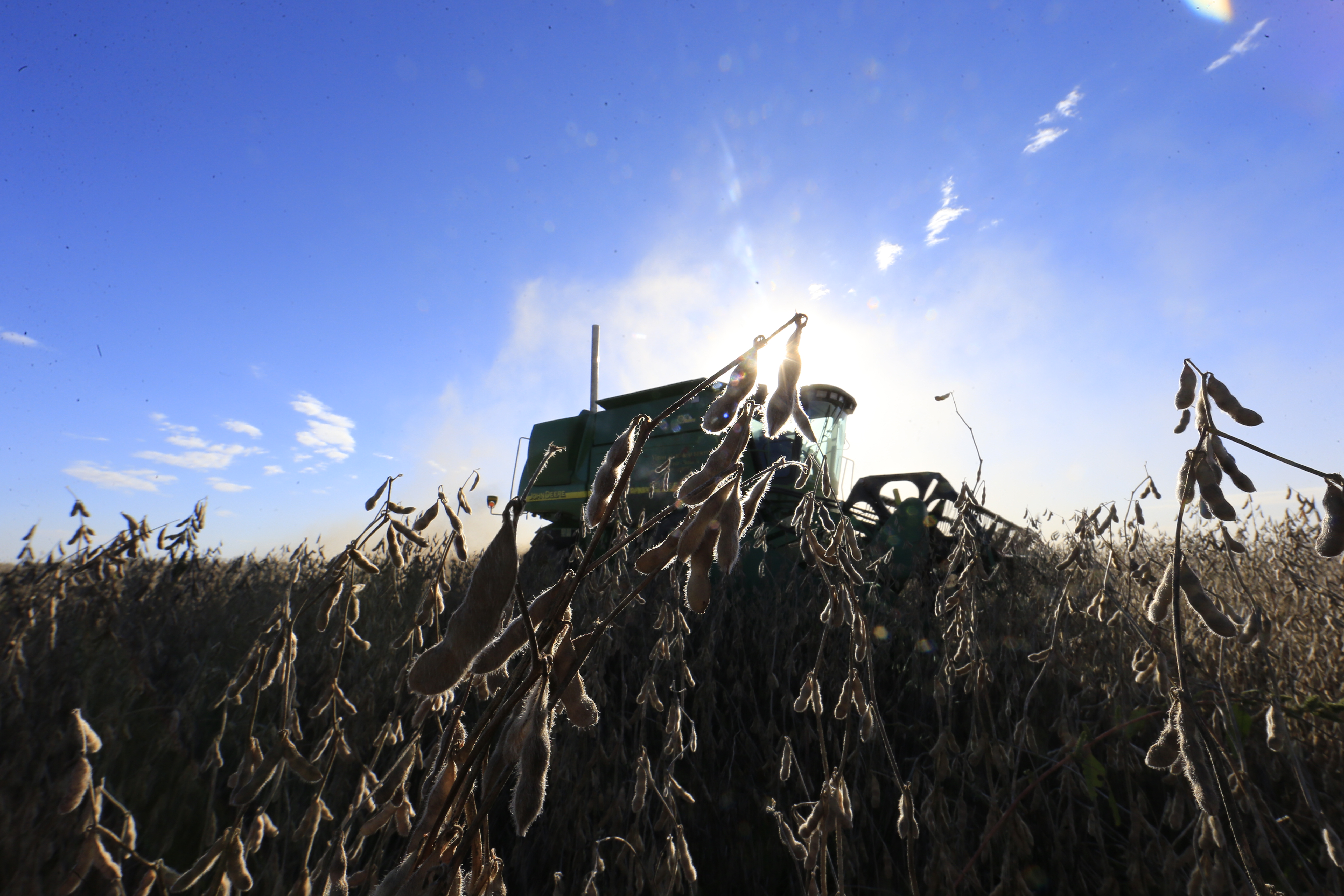  | Albari Rosa/Gazeta do Povo