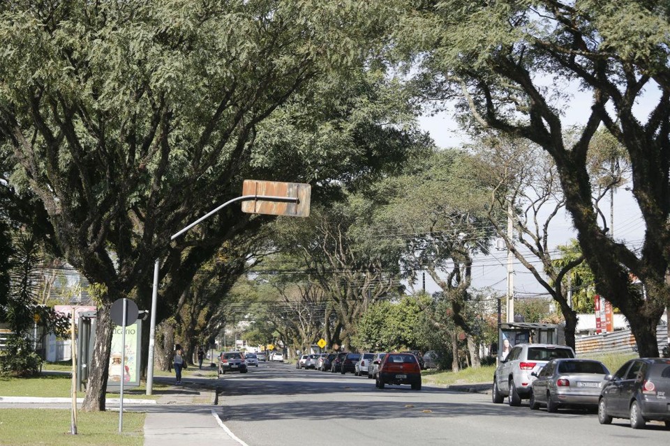 Pássaro gigante conhecido como “ave do terror” habitou Curitiba no período entre 42 a 39 milhões de anos atrás. | Renata Cunha e Fernando Sedor/UFPR/Reprodução