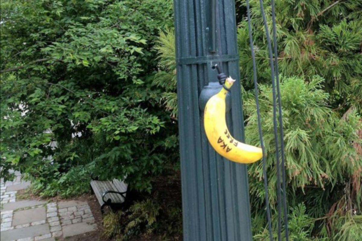 Agressor pendurou frutas por postes e árvores do campus | Reprodução