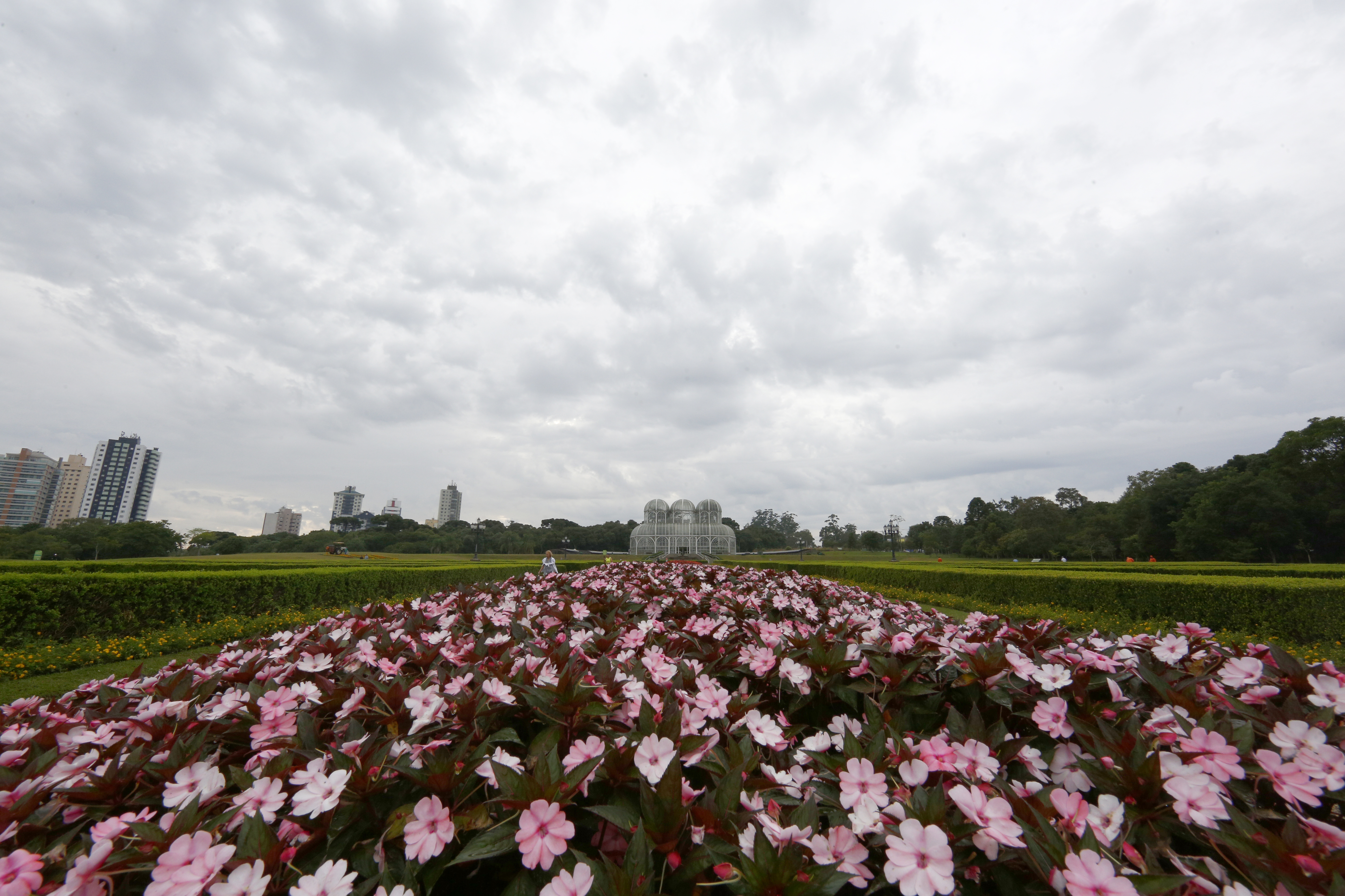 Apesar de não ter previsão de chuva, terça-feira em Curitiba terá céu bastante encoberto por nuvens | Aniele Nascimento/Gazeta do Povo
