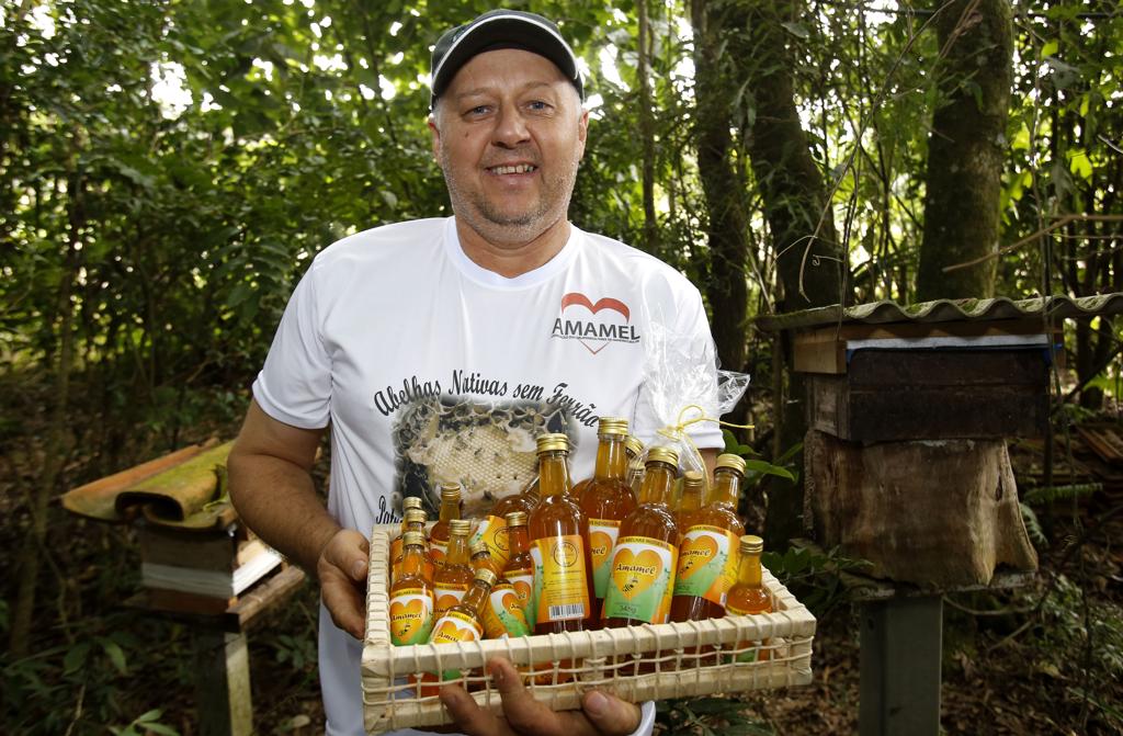 O meliponicultor Benedito Antônio Uczai, de Mandirituba, na Região Metropolitana de Curitiba (RMC), tem em sua propriedade centenas de caixas de abelhas sem ferrão de dez espécies diferentes. | Pedro Serapio/Gazeta do Povo