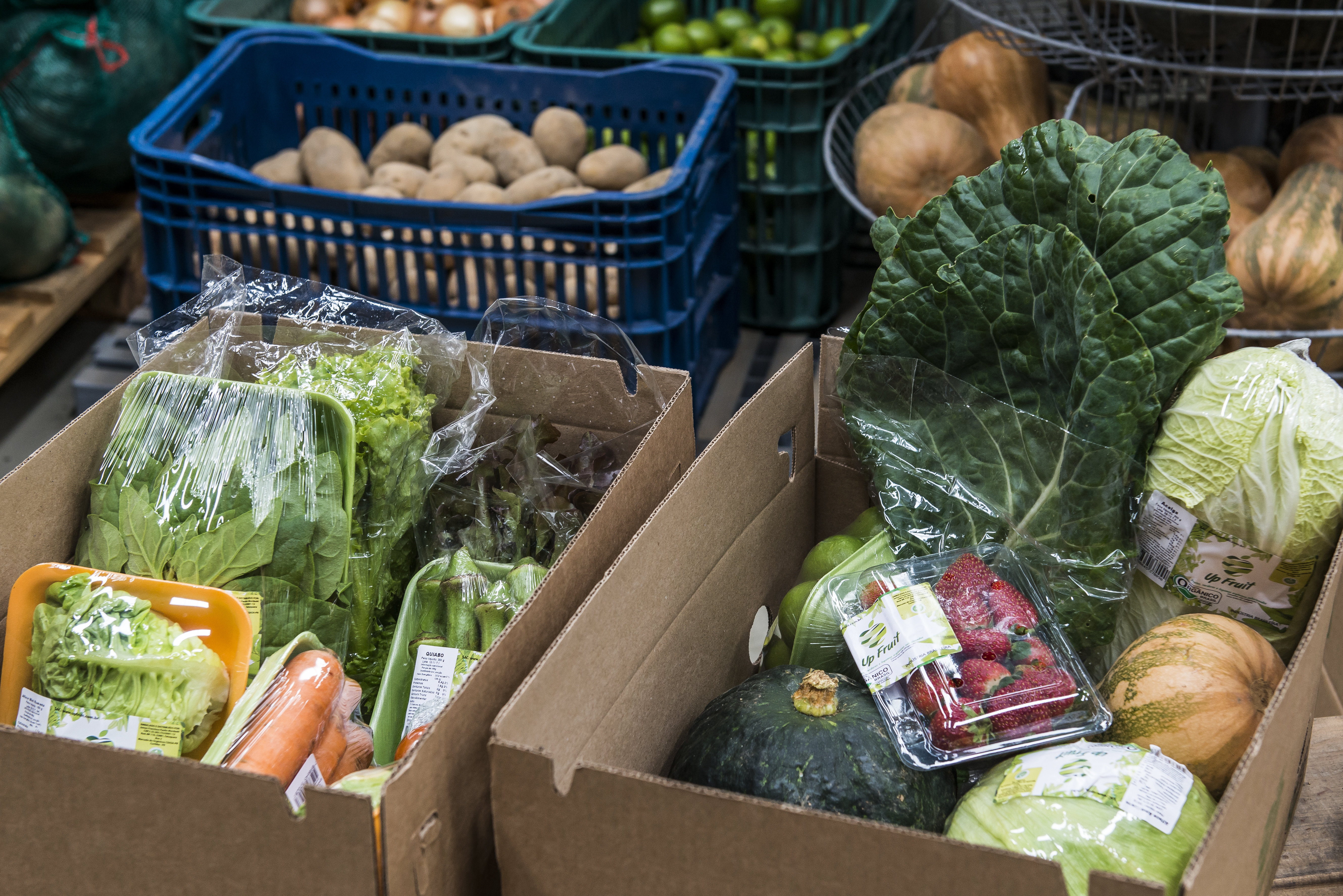 Ações programadas pela prefeitura acontecem até o próximo domingo (4) | Leticia Akemi/Gazeta do Povo