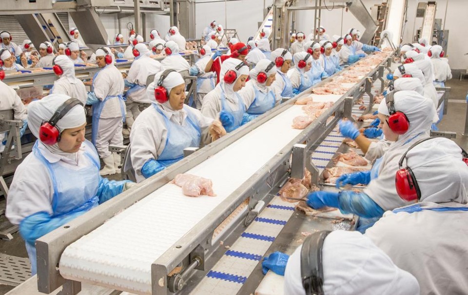 JBS é a maior empresa fornecedora de proteína animal do mundo. | Hugo Harada/Gazeta do Povo