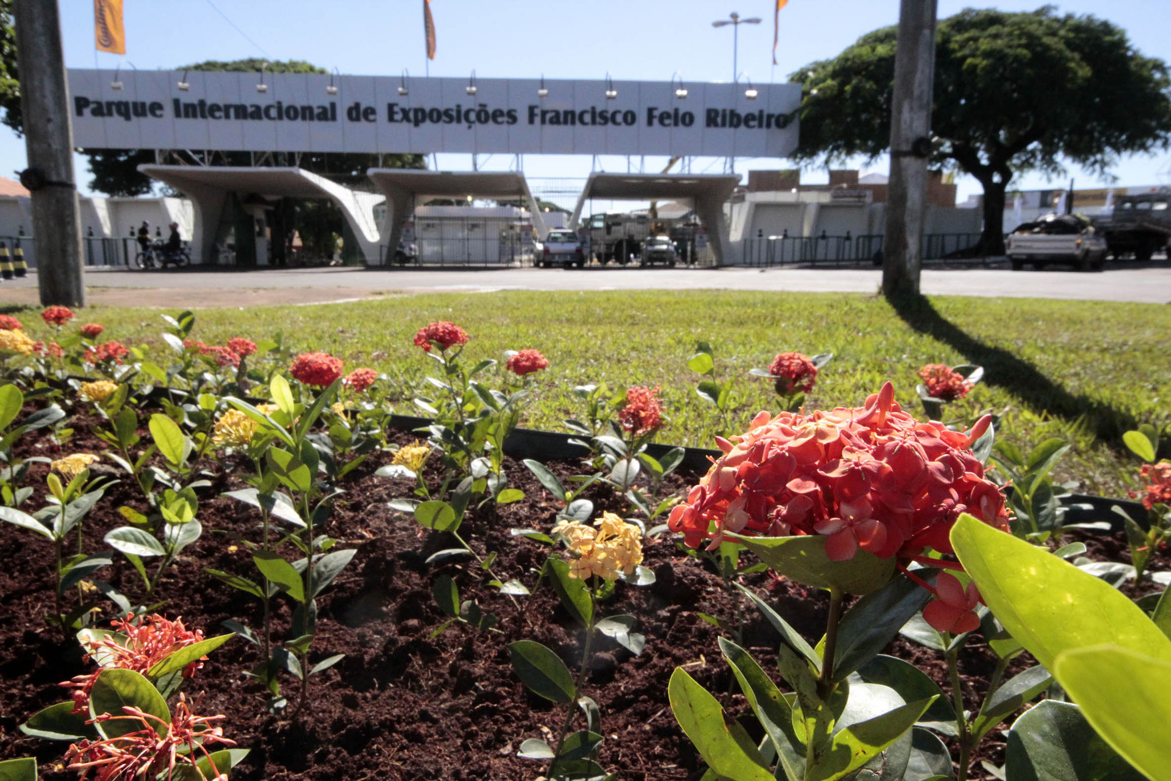 Expoingá acontece até o dia 14 de maio no Parque Internacional de Exposições Francisco Feio Ribeiro, em Maringá | Arquivo/Gazeta do Povo
