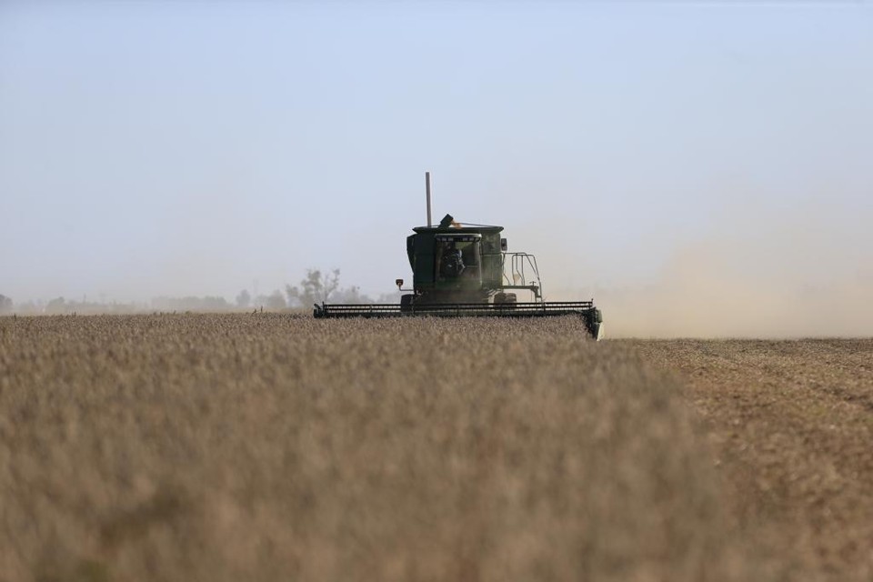 Coordenadora de Contas Nacionais do IBGE acredita que alta da agro deve se manter no segundo trimestre | Albari Rosa/Gazeta do Povo