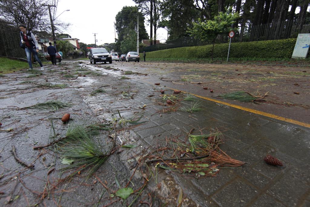 Curitiba pode registrar ventania nesta quinta-feira | Aniele Nascimento/Gazeta do Povo