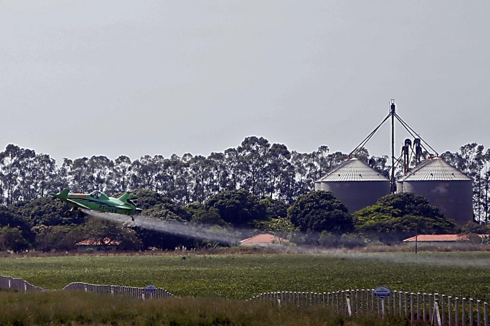 Avião pulveriza lavoura no Mato Grosso:   setor agropecuário subiu 13,4% e salvou PIB do 1º trimestre de 2017 | Albari Rosa/Gazeta do Povo