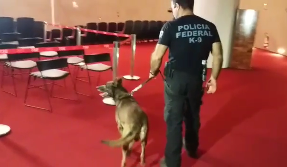 Cão é usado para farejar explosivos no tribunal que pode cassar Temer. Veja vídeo | Reprodução/Flávia Pierry