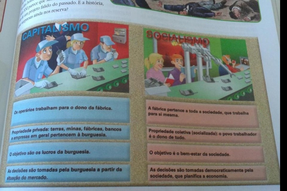 | Reprodução