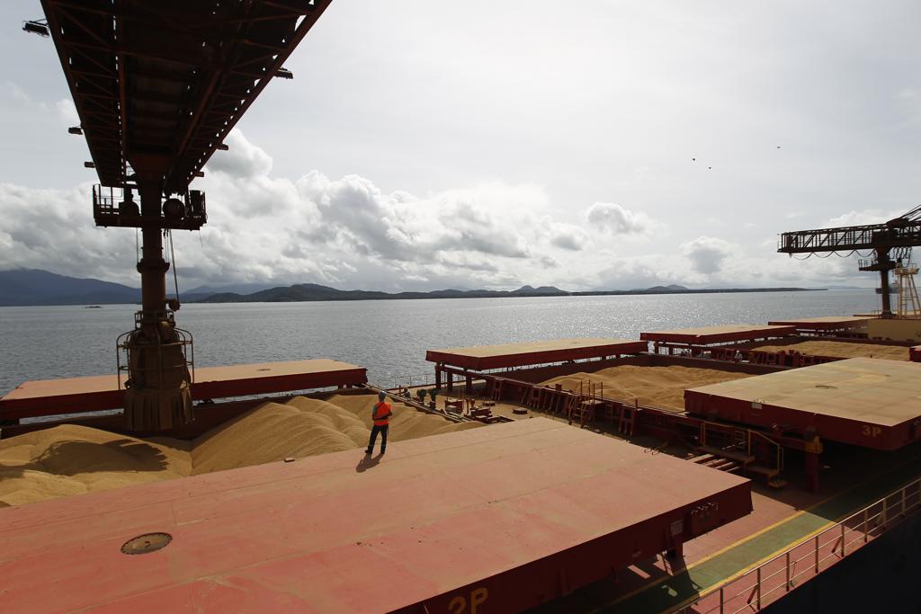 Em 20 dias, cerca de 800 pessoas foram entrevistadas para o levantamento. | Jonathan Campos/Gazeta do Povo