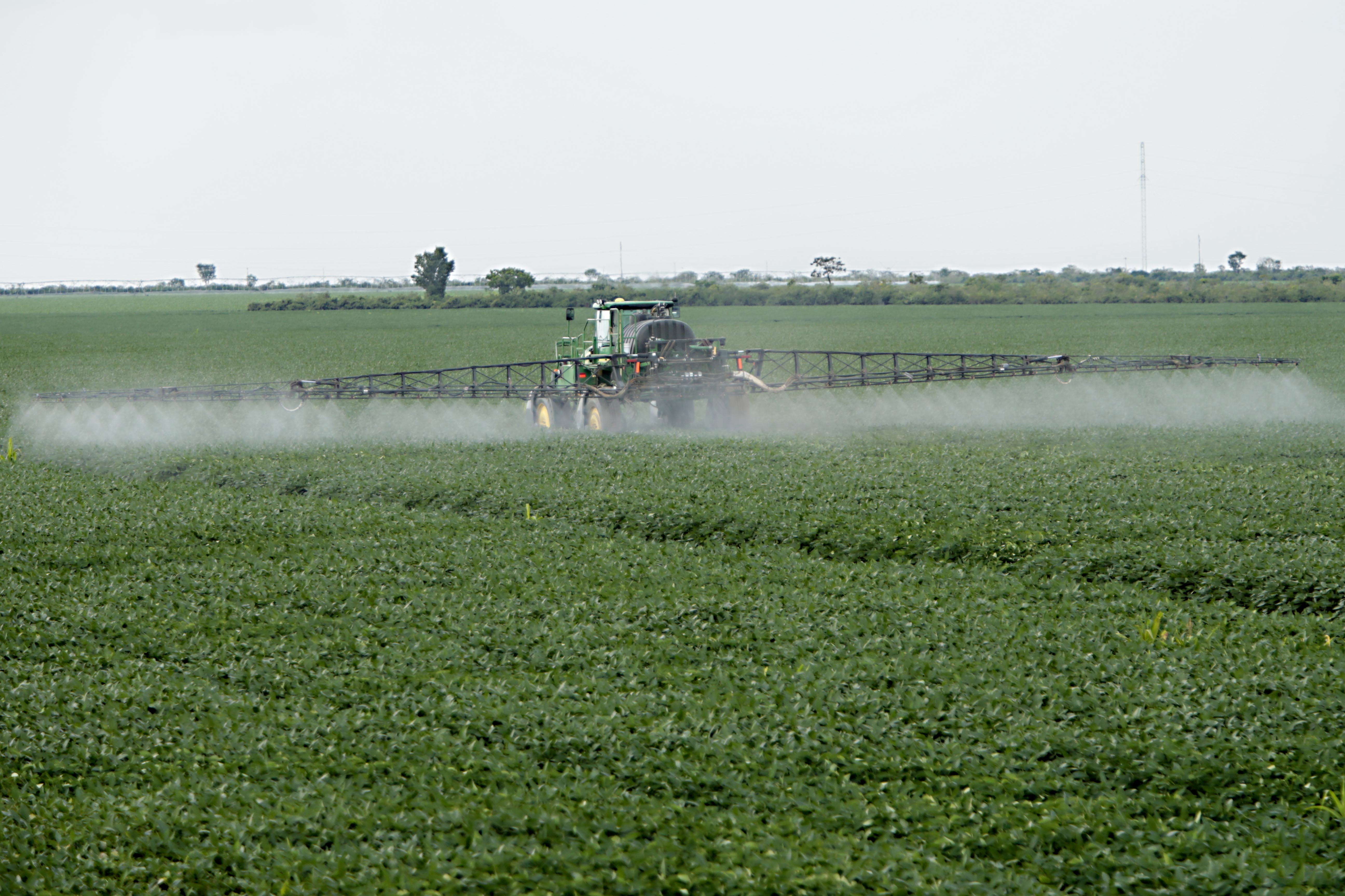 | Albari Rosa/Gazeta do Povo