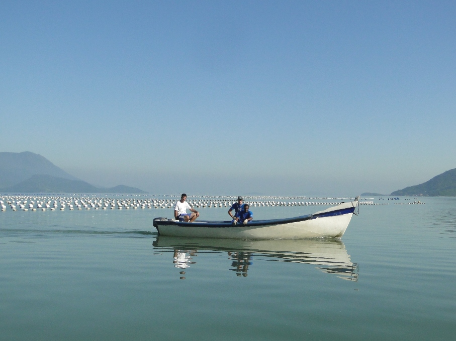 Com 589 produtores espalhados ao longo de 12 municípios costeiros, a atividade gera cerca de 1.500 empregos diretos no processo produtivo em Santa Catarina. | Divulgação/MB Comunicação