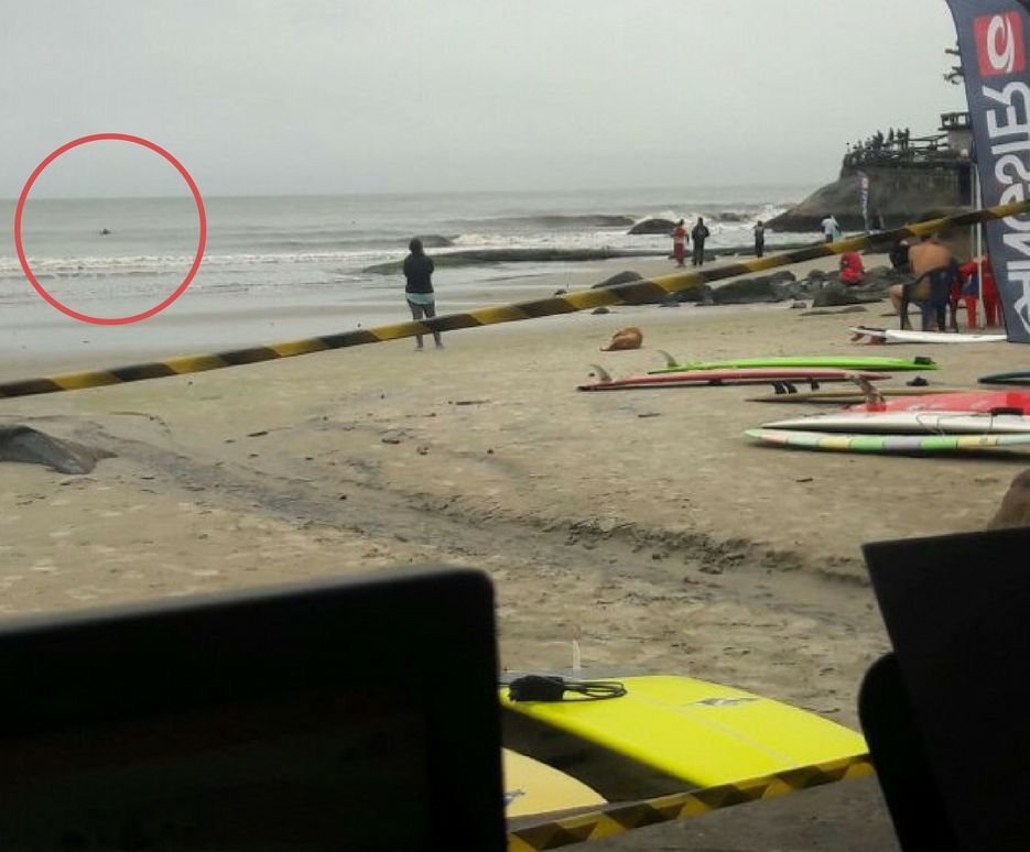 Suposto tubarão na praia de Matinhos (no destaque). | /Divulgação