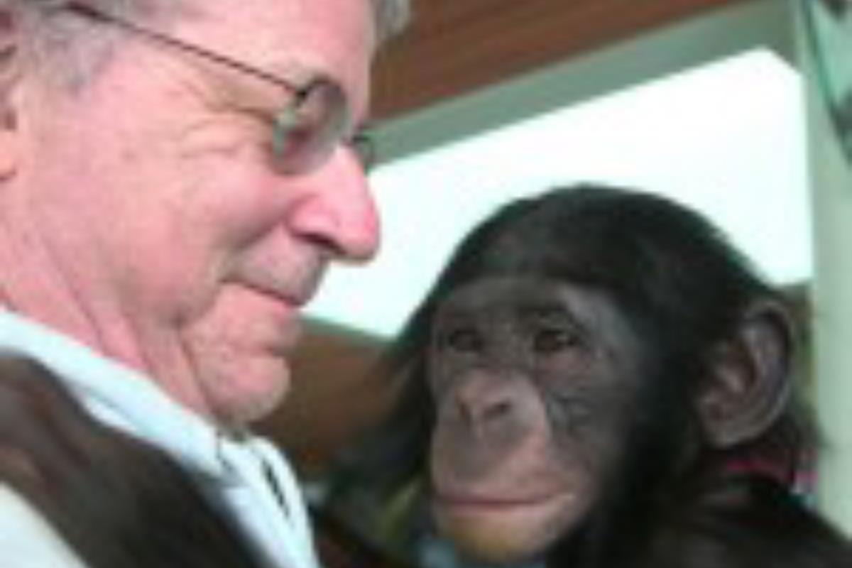 O advogado de direitos dos animais Steven M. Wise | Courtesy of Pennebaker Hegedus F/Divulgação