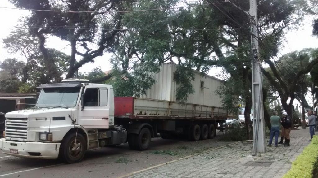 Caminhão enroscou em árvore na Rua Padre Anchieta | Aniele Nascimento/Gazeta do Povo