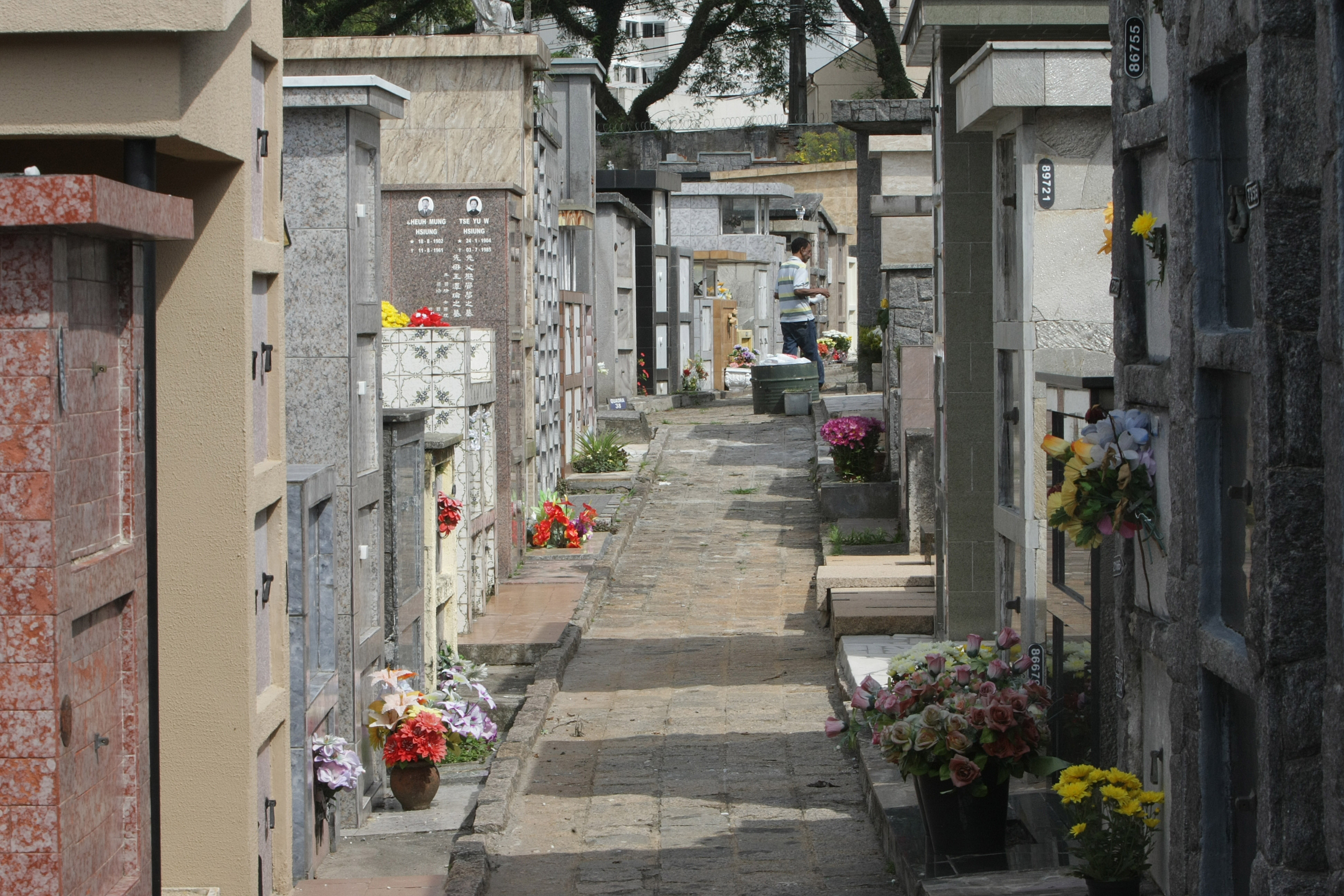 Com mais de 32 mil túmulos, cemitérios de Curitiba não tem mais espaço para receber novos jazigos | Ivonaldo Alexandre/Gazeta do Povo/Arquivo