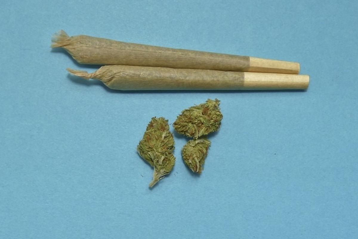 | Reprodução/Pixabay