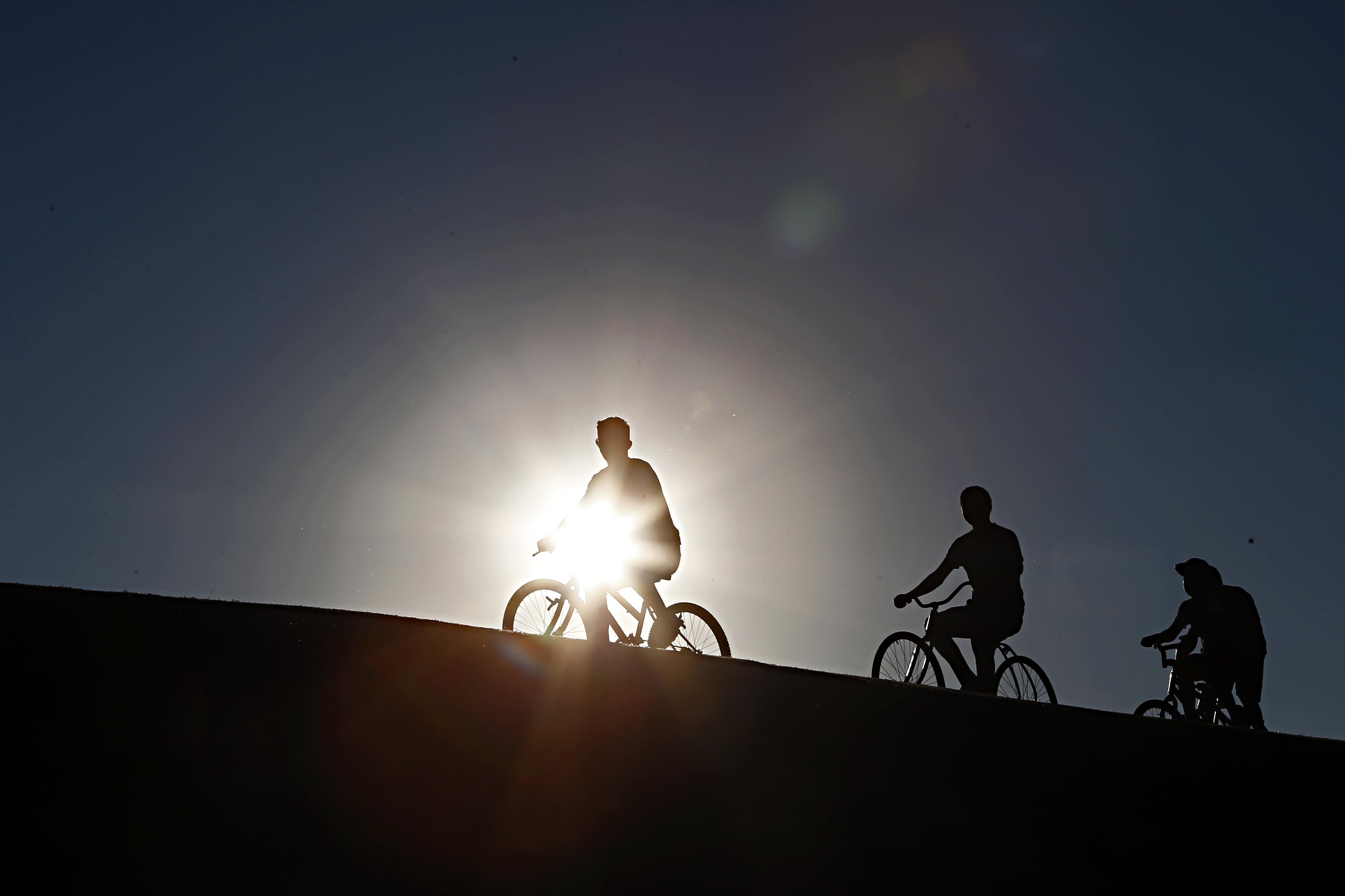 Outono no Jardim Botânico: último fim de semana da estação será propício para passeio em parques de Curitiba | Albari Rosa/gazeta do povo