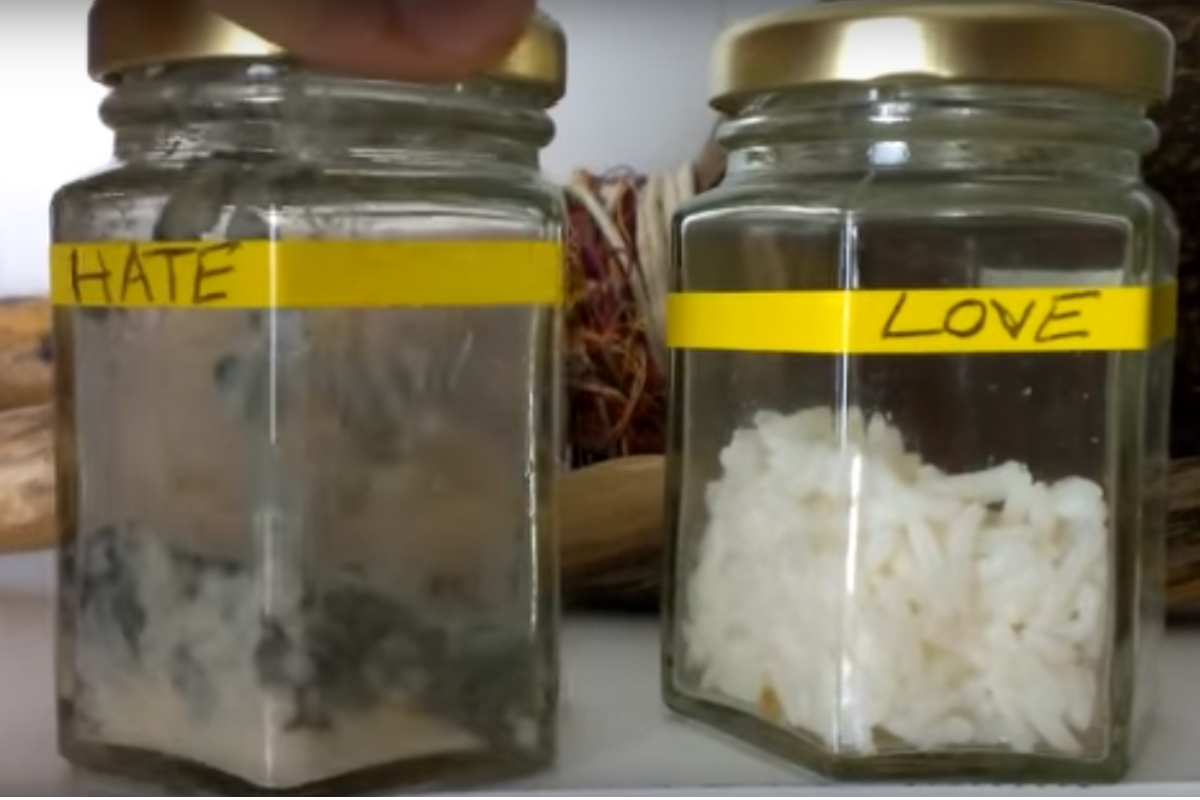 Reprodução de experimento em vídeo na internet: sem controle e repetição, não é ciência | Reprodução / YouTube