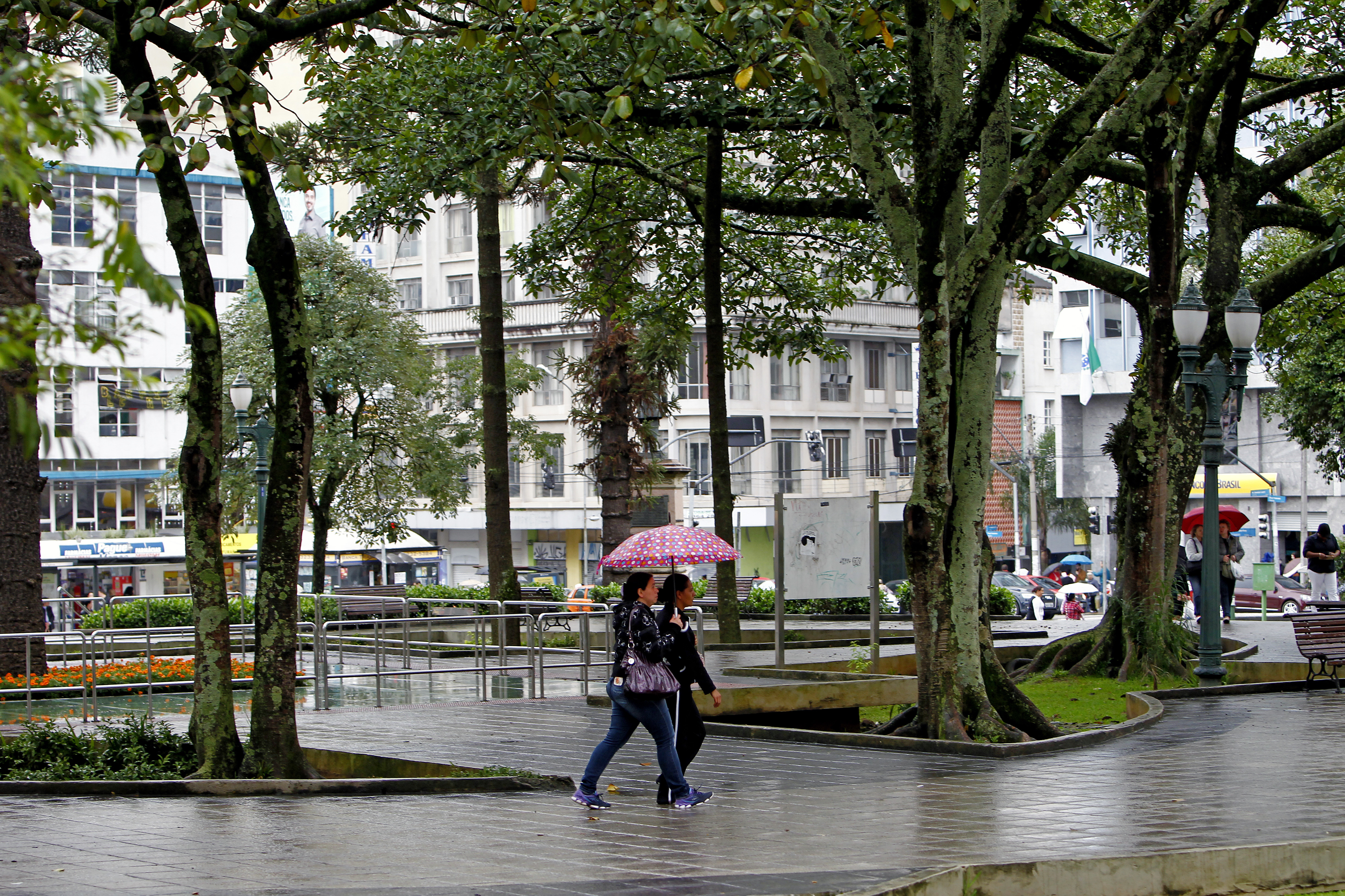 Segunda-feira será marcada pela chuva na capital | Antônio More/Gazeta do Povo