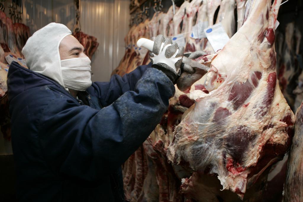 No total foram investidos mais de R$ 1 milhão na construção da estrutura pela empresa. | Henry Milléo /Gazeta do Povo