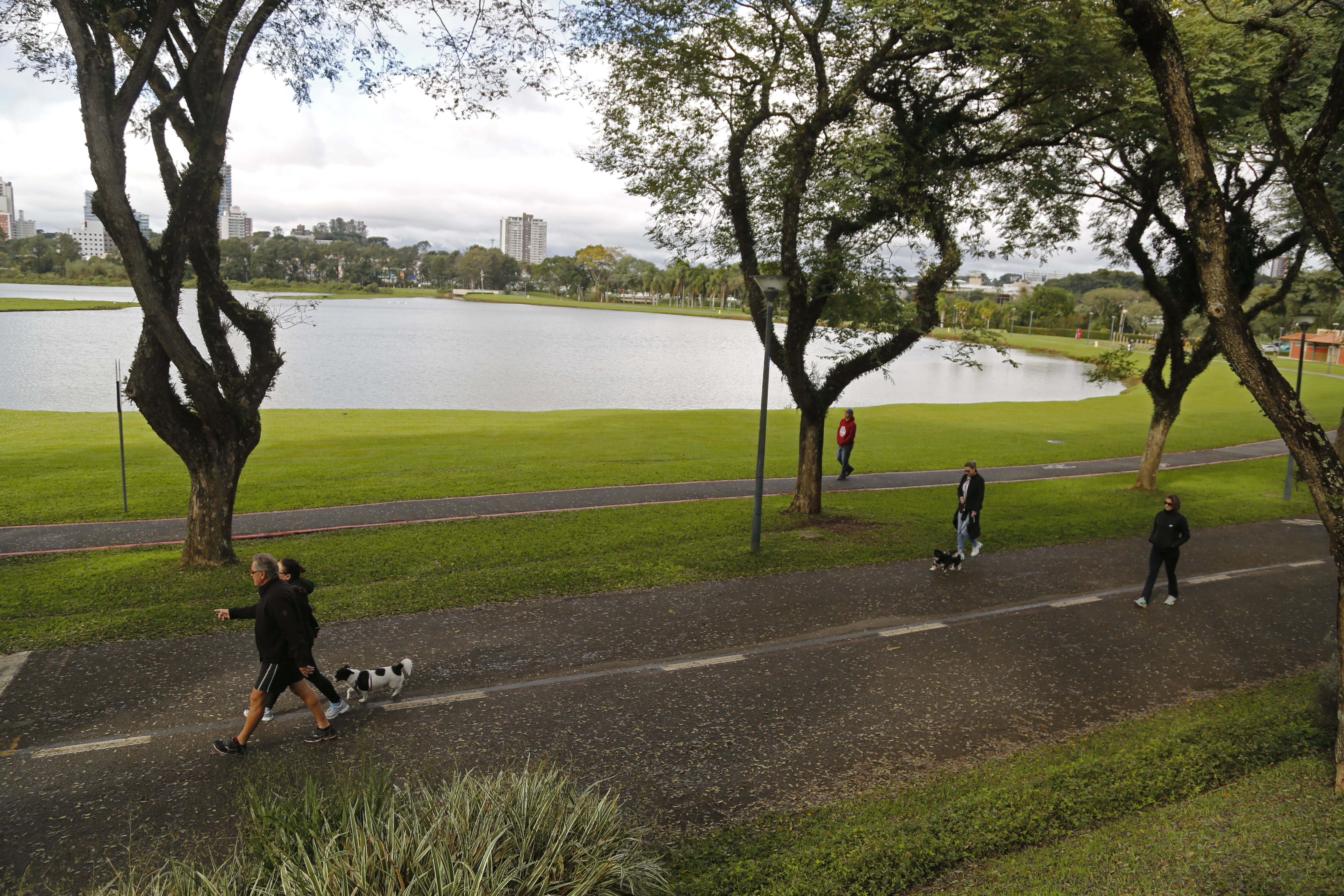  | Felipe Rosa/TRIBUNA DO PARANA