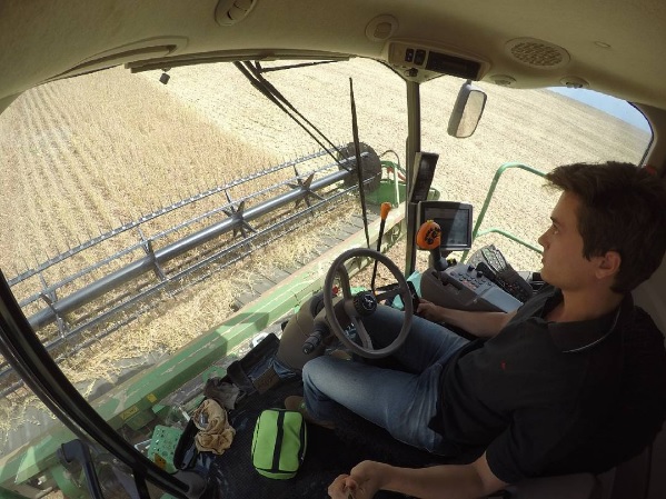 As vendas das unidades brasileiras da Minerva para os Estados Unidos representaram cerca de 1,5 por cento das exportações consolidadas da companhia no primeiro trimestre, segundo a empresa. | Arquivo/Gazeta do Povo