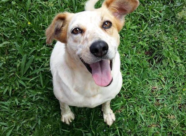 | Divulgação/Prefeitura de Curitiba