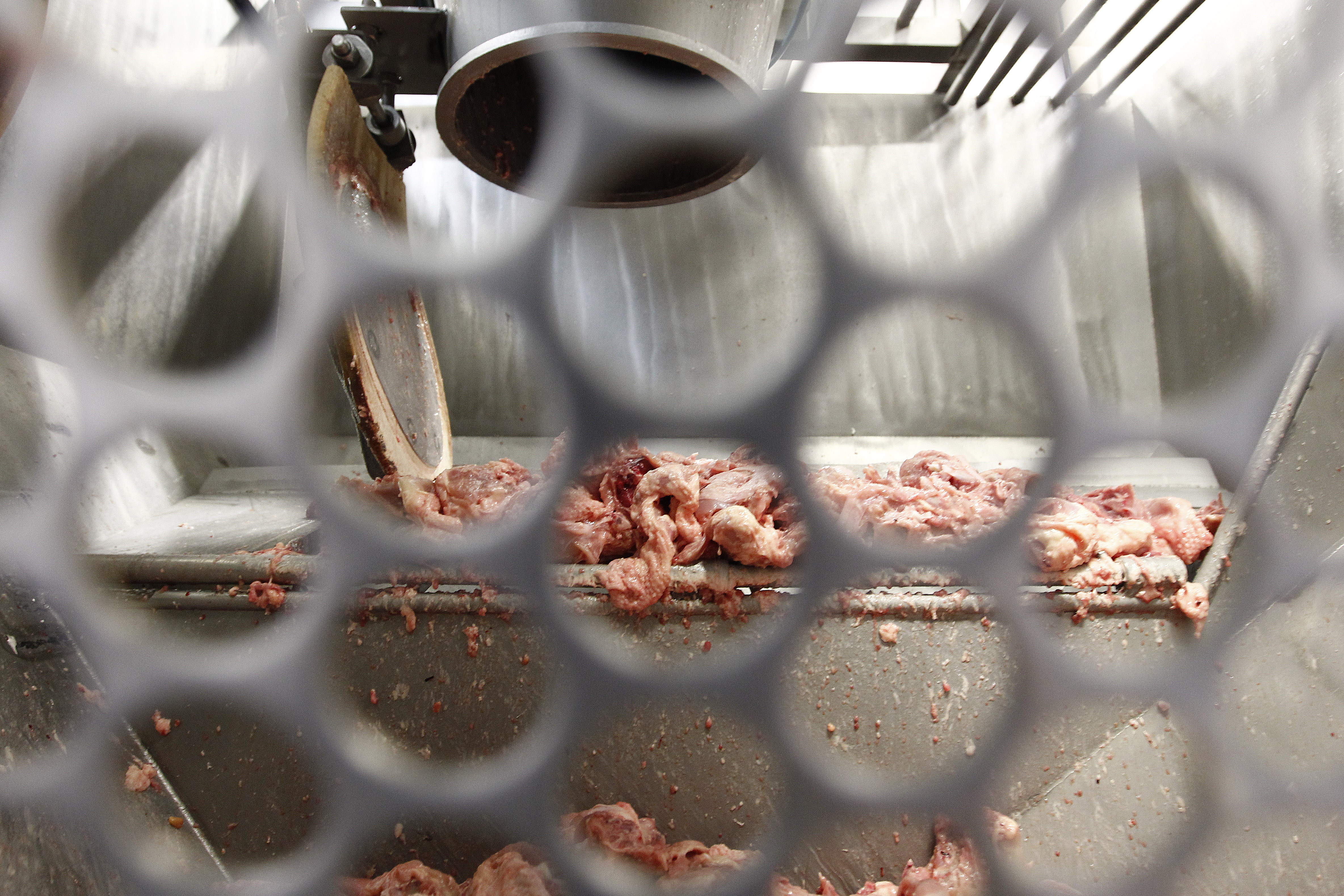  | Jonathan Campos/Gazeta do Povo