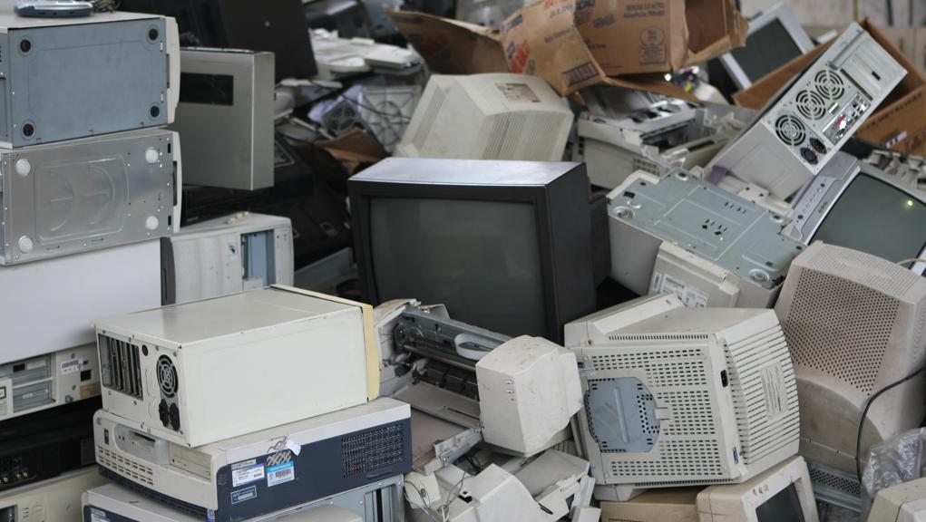 Coleta acontece das 9h às 16h do próximo sábado (10) | Aniele Nascimento/Aniele Nascimento