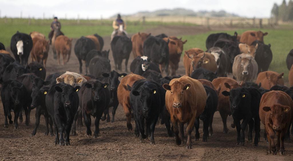 | JONATHAN CAMPOS/Gazeta do Povo