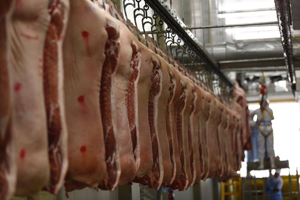 Maior importador de carne suína do Brasil (com 40,3% do total), a Rússia foi destino de 111,1 mil toneladas entre janeiro e maio deste ano, volume 10% superior ao obtido no mesmo período do ano passado. | JONATHAN CAMPOS/GAZETA DO POVO