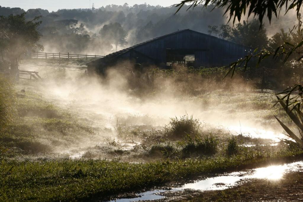 Geada em São José dos Pinhais, na região metropolitana de Curitiba. | Aniele Nascimento/Gazeta do Povo