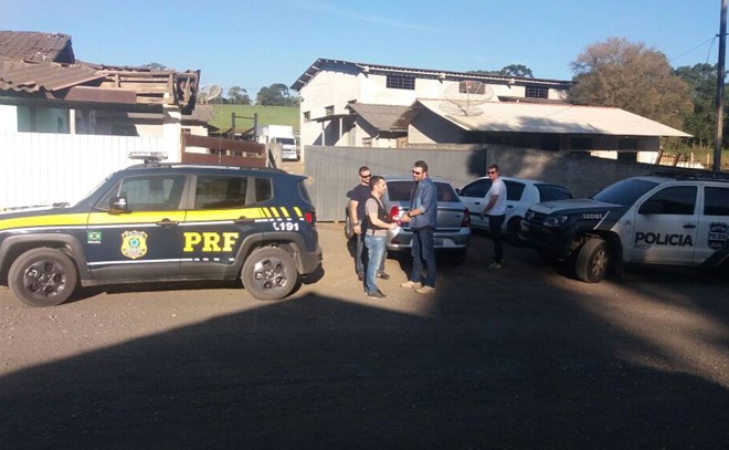 PRF e Polícia Civil fecham abatedouro clandestino que atendia restaurantes e mercados da Grande Curitiba | Divulgação/PRF/Divulgação/PRF