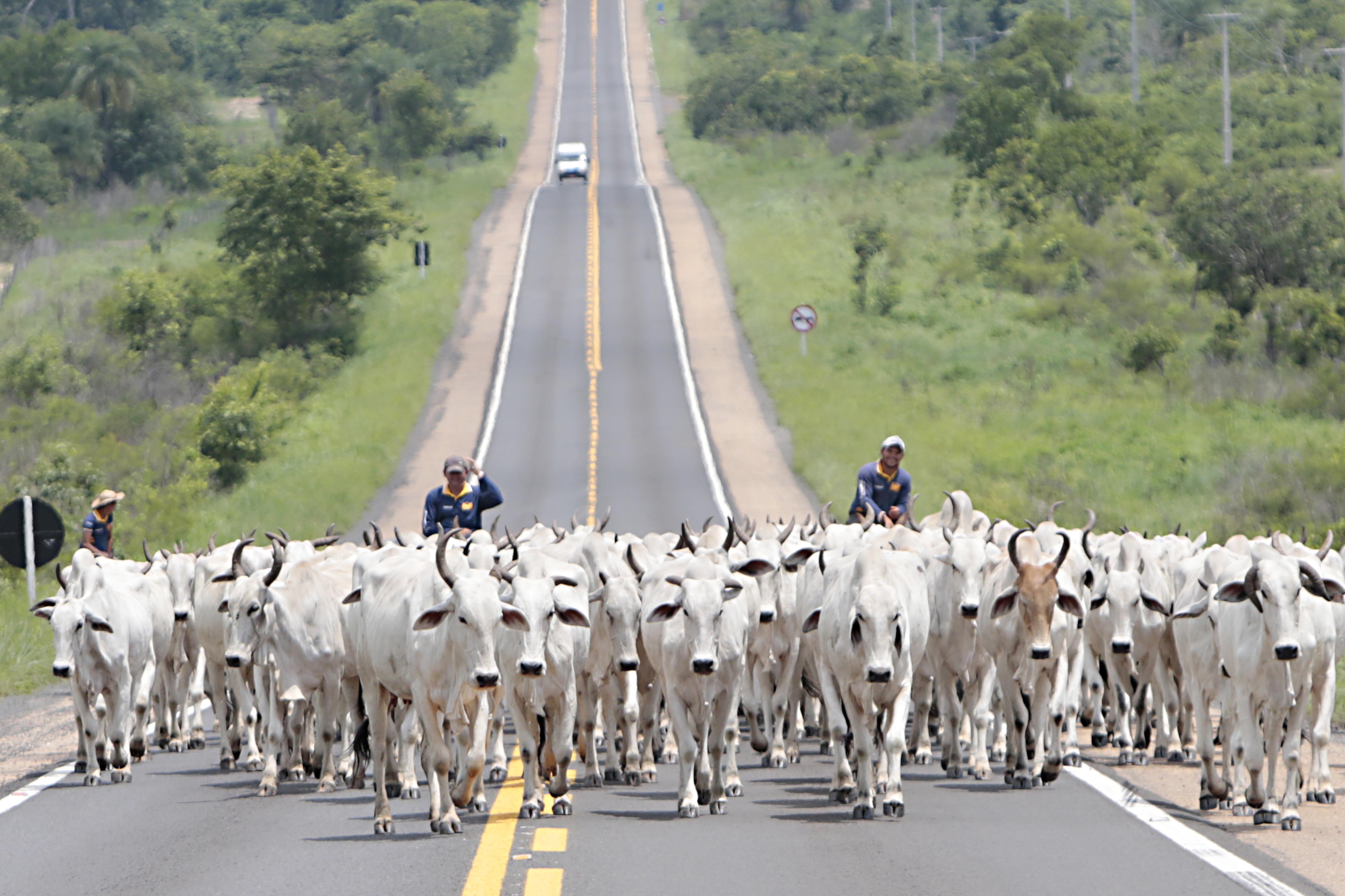 | Albari Rosa/Gazeta do Povo