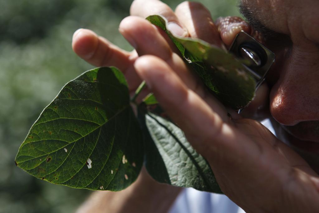 | JONATHAN CAMPOS/Gazeta do Povo