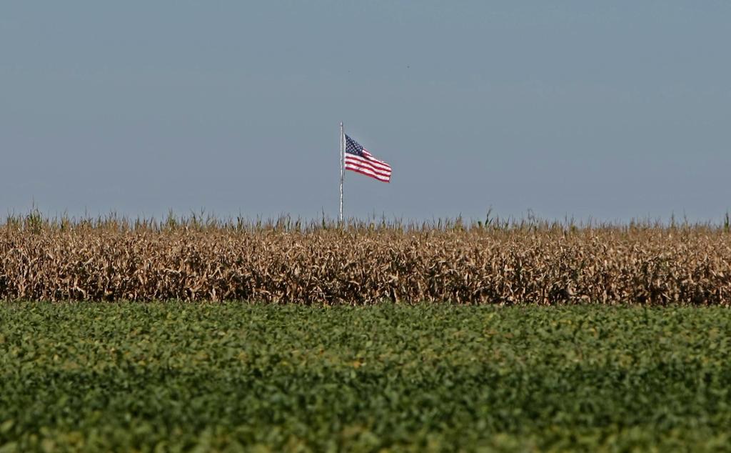 Para Ministro da Agricultura não há problema em vender terras para estrangeiros, desde que haja volumes limitados | Albari Rosa/Gazeta do Povo