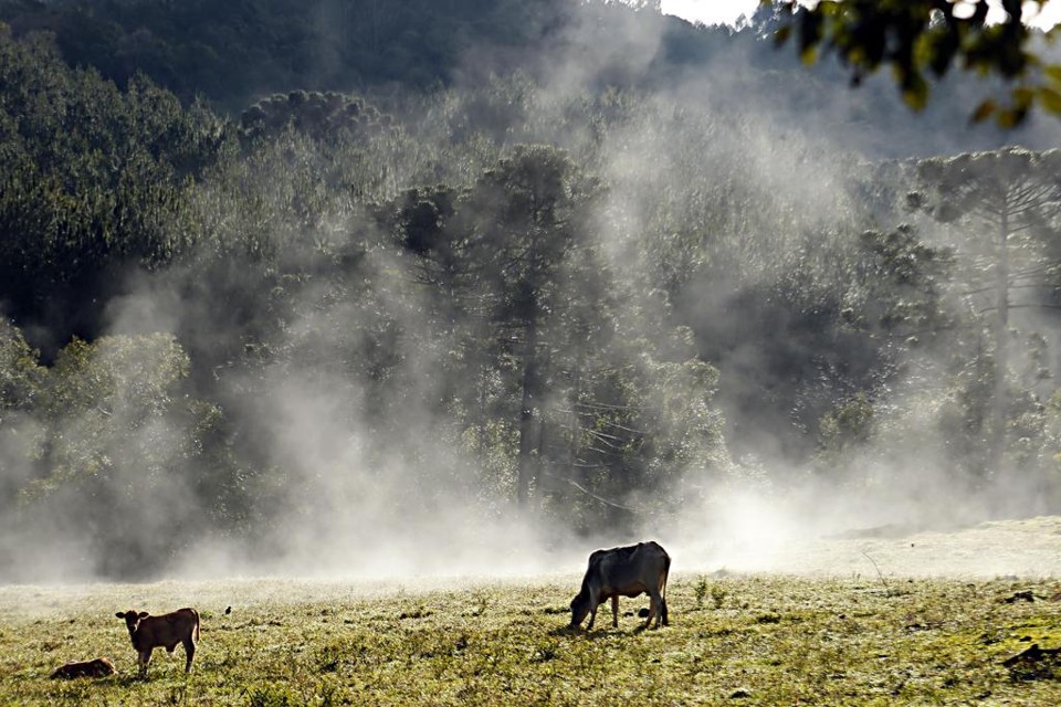Propriedade rural em Concórdia, Santa Catarina | Albari Rosa/Gazeta do Povo
