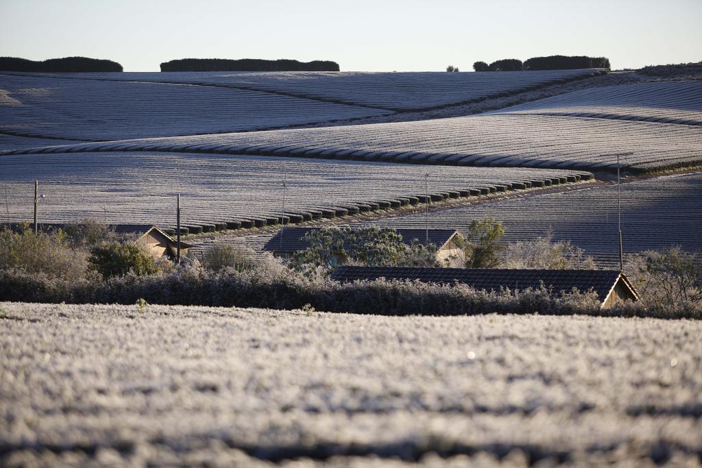 Planícies e baixios vão amanhecer cobertos de branco | JONATHAN CAMPOS /GAZETA DO POVO
