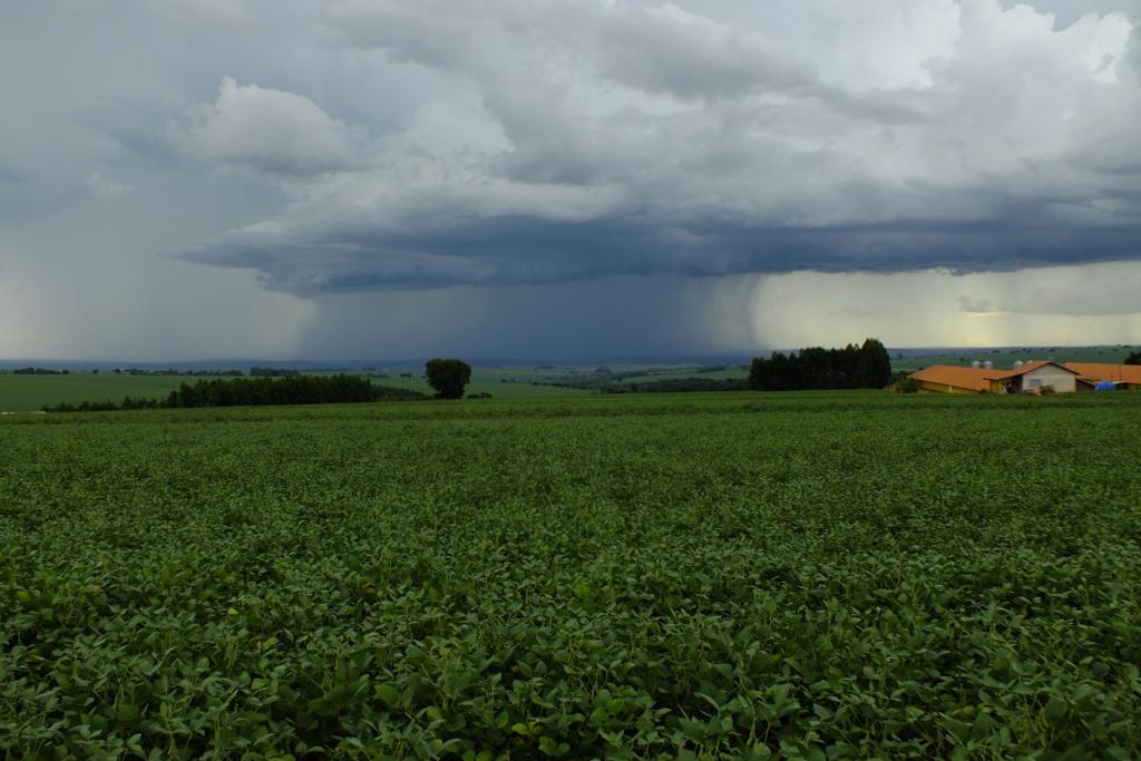 Excesso de chuvas e  secas, combinadas com a desvalorização dos grãos, resultaram em quase R$ 200 milhões em indenizações para o seguro rural do BB Mapfre | Arquivo/Gazeta do Povo