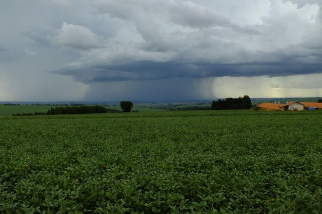 Excesso de chuvas e secas, combinadas com a desvalorização dos grãos, resultaram em quase R$ 200 milhões em indenizações para o seguro rural do BB Mapfre | Arquivo/Gazeta do Povo