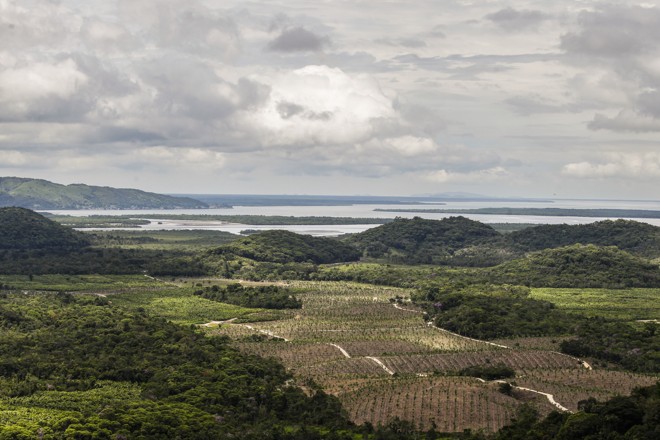 | Daniel Castellano/Arquivo Gazeta do Povo