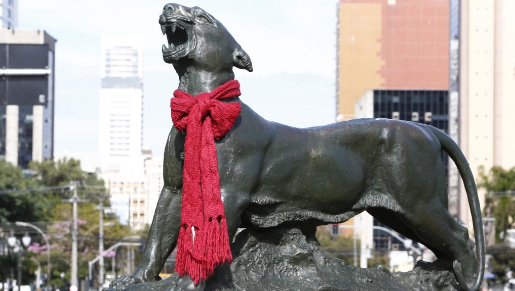 Frio curitibano conseguiu superar os termômetros em regiões polares | Aniele Nascimento/Gazeta do Povo