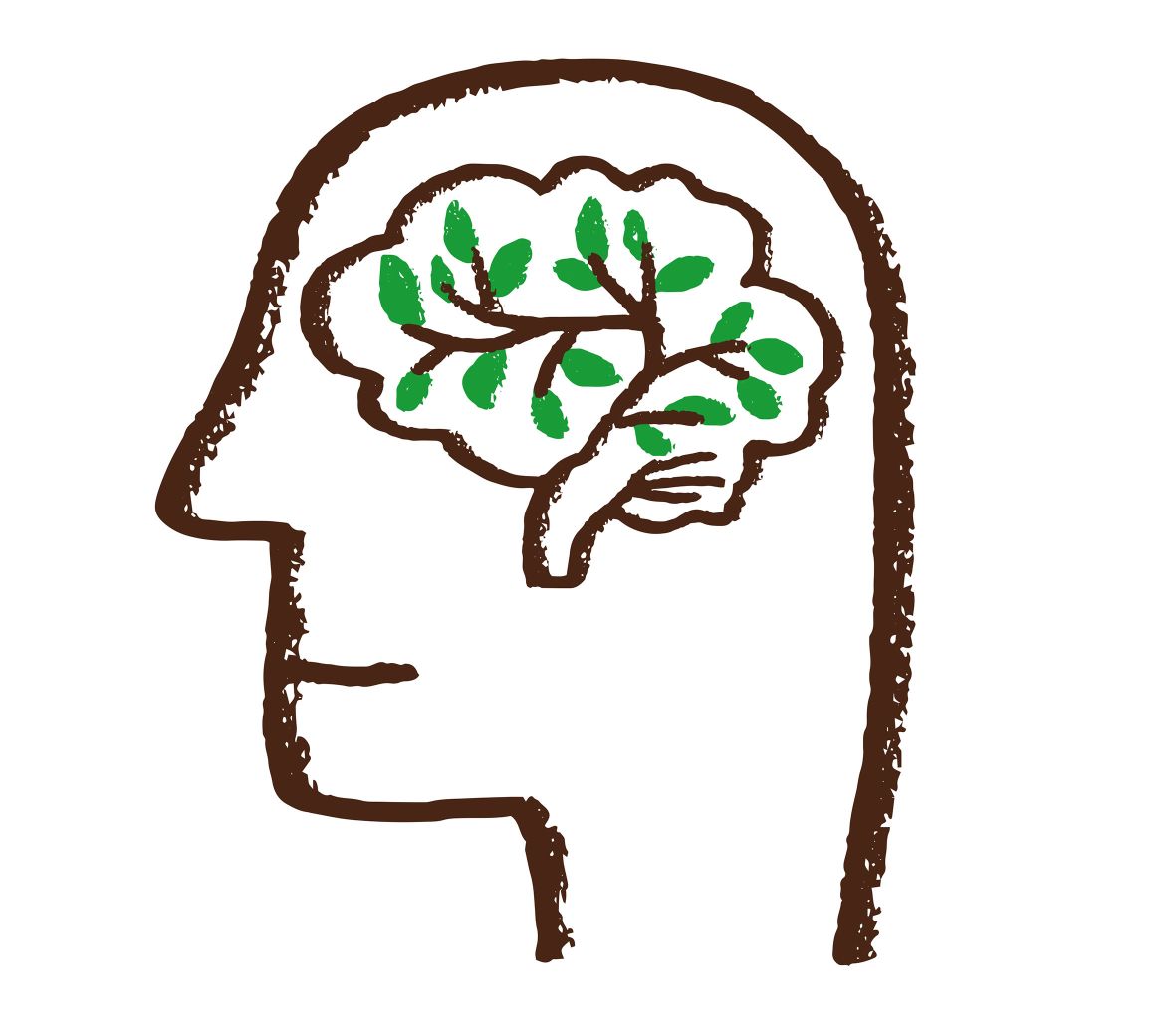 | Alexandre de Mari/