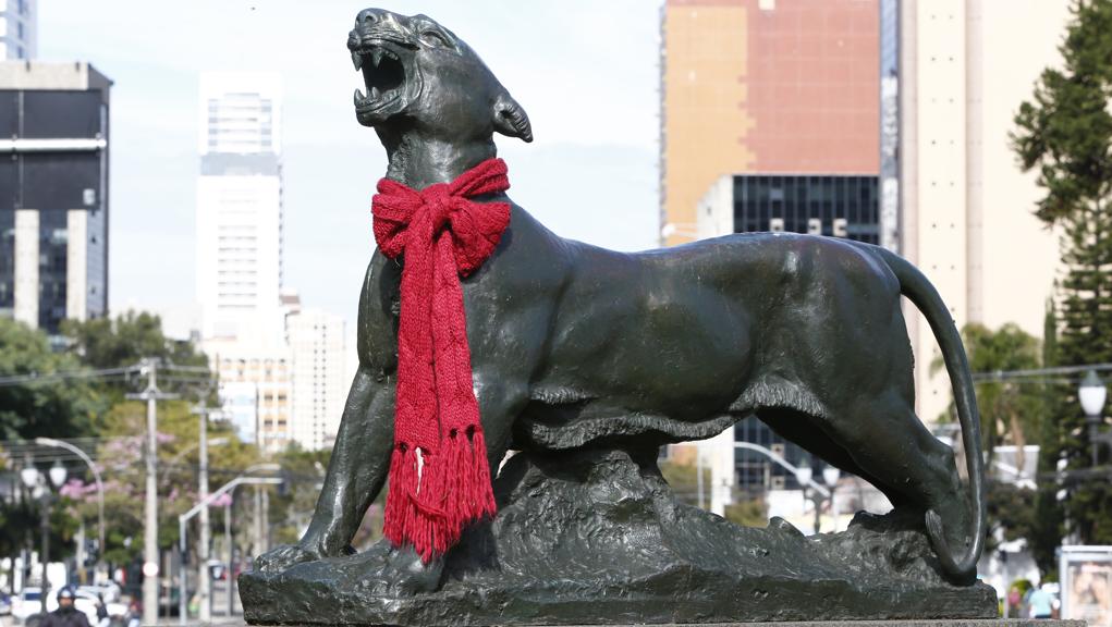 Tempo continua gelado nesta terça-feira em Curitiba | Aniele Nascimento/Gazeta do Povo