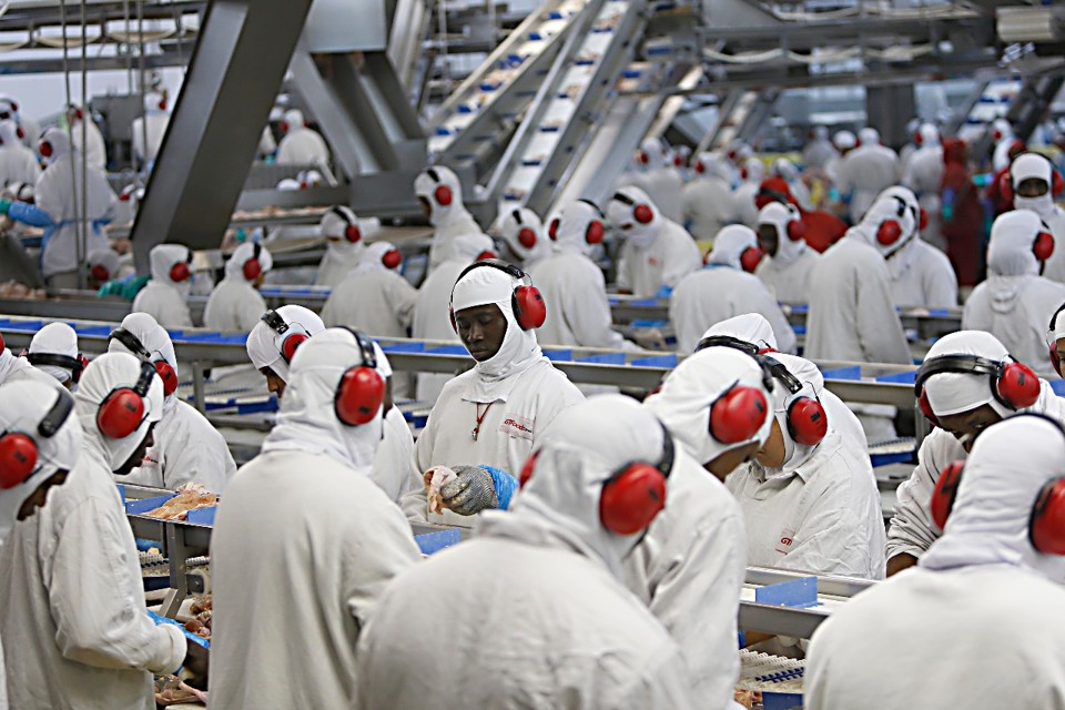Hoje, a empresa fatura R$ 2,2 bilhões por ano, exporta para mais de 70 países e emprega 10 mil funcionários. | /